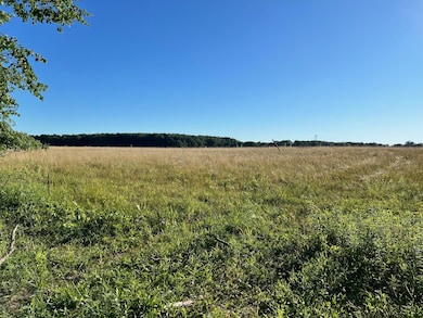 16258 Holden Rd unit B-4, Galien, MI 49113 - photo 5