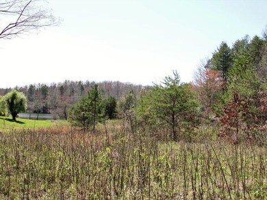 IMG_0458[1]