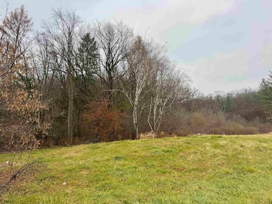 4732 Wisconsin 78, Black Earth, WI 53515 - photo 4