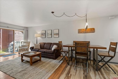 166 Yankee Girl Ct unit 215, Durango, CO 81301 - photo 4