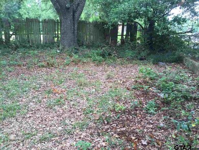 2911 2911 Frankston Hwy, Tyler, TX 75701 - photo 2