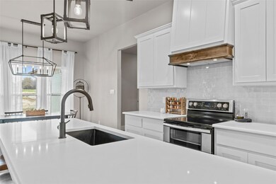 443 Sarra Ln, Poolville, TX 76487 - photo 7