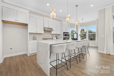 13272 Arnold Palmer Cir unit 871, Lancaster, SC 29720 - photo 3