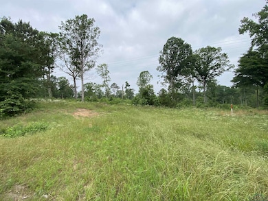View of local wilderness