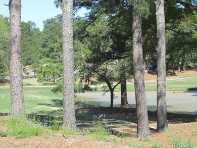 Golf/Pond View