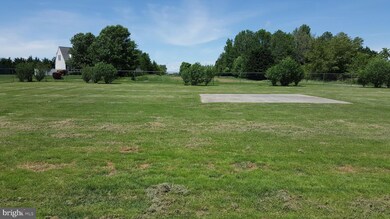 453 Watson Rd, Centreville, MD 21617 - photo 4