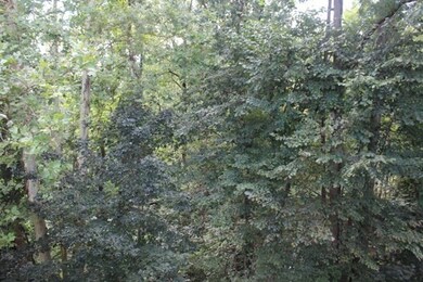 23 Randolph Place unit 307, Northampton, MA 01060 - photo 6