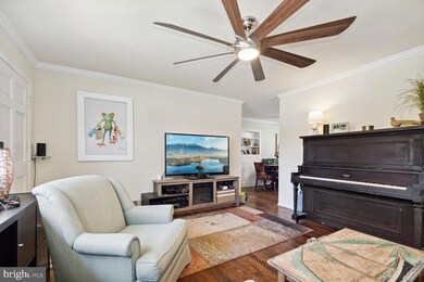 4417 Judith St, Rockville, MD 20853 - photo 3