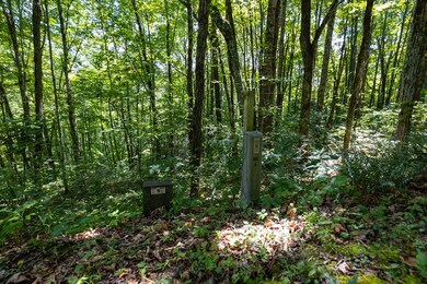 Lot 7 S Cliff Rd, Cullowhee, NC 28723 - photo 4