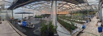 1251 Pleasant Grove Rd, Rio Oso, CA 95674 - photo 4