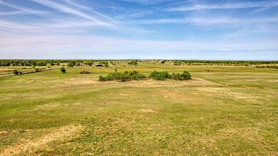 Lot 20 Cottonwood Trail, Poolville, TX 76487 - photo 4