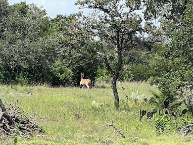 Walnut Creek Ranch Tract 6, Kerrville, TX 78028 - photo 3