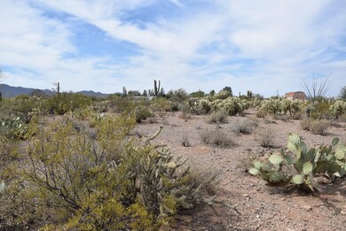 photos 004