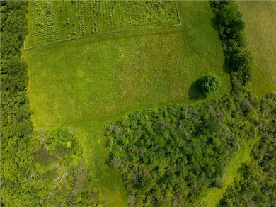 20 Nelson Rd, Danby, NY 14850 - photo 2