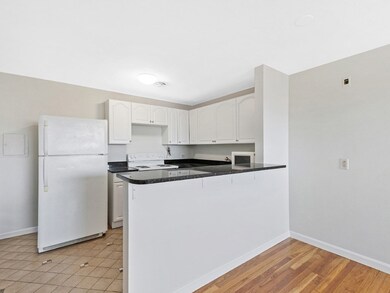 10 Riverside St unit 3-2, Watertown, MA 02472 - photo 6