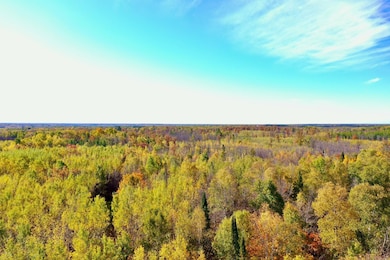 NA Na, Skelton Township, MN 55707 - photo 2