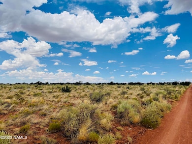 626 N Laguna Dr unit Lot 2, Valle, AZ 86046 - photo 5