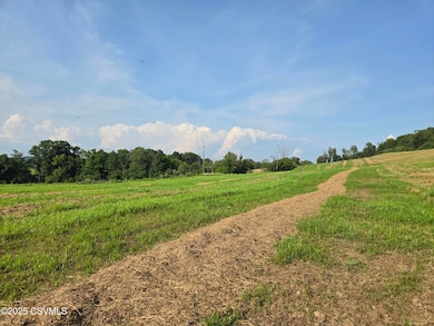 0 Mowery Rd, Danville, PA 17821 - photo 6