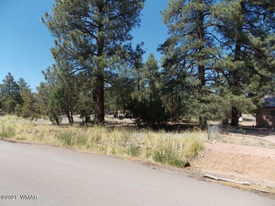 2859 Pine Rim Rd