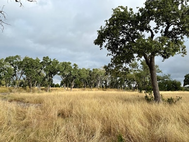 290 Stallion Dr unit 139, Harper, TX 78631 - photo 6