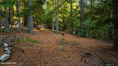 9816 Bottle Bay Rd, Sagle, ID 83860 - photo 2