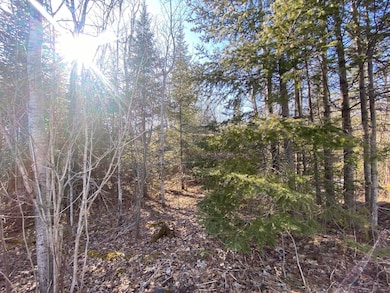 XXD Pine Peak Rd, Lutsen, MN 55612 - photo 2