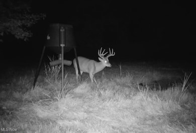 0 Township Road 1239, Washington Township, OH 43821 - photo 6