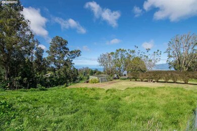 594 Hapapa Rd, Kula, HI 96790 - photo 7