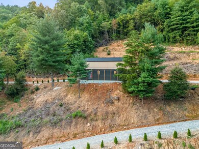 1063 Rickman Airfield Rd, Clayton, GA 30525 - photo 4