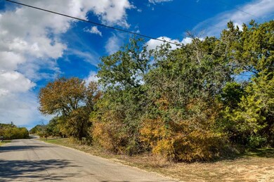 13 Lake Country Dr, Granbury, TX 76049 - photo 2