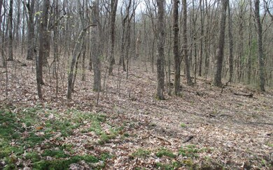 Additional View