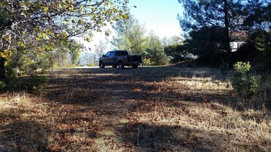 Lot 1