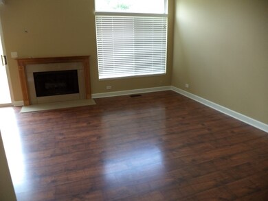 993 Viewpoint Dr, Lake In the Hills, IL 60156 - photo 2