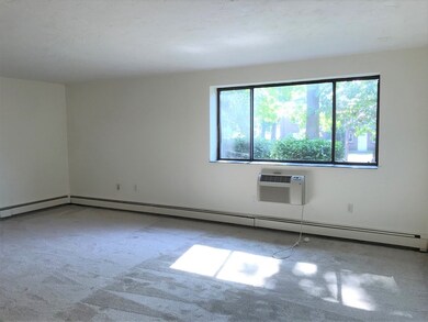 2350 Commonwealth Ave unit 2-4, Auburndale, MA 02466 - photo 5