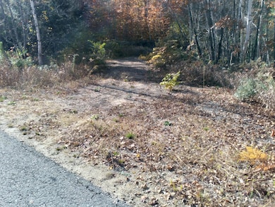 21-8 Raven Ln, Fryeburg, ME 04037 - photo 4