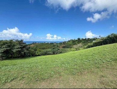 653 Calle Bastimiento, Vieques, PR 00765 - photo 3