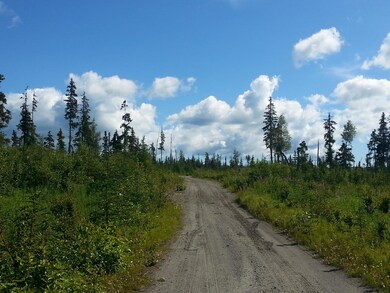 20140729_160318.jpg
