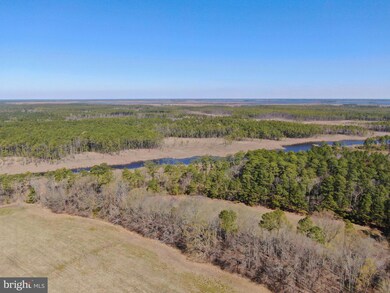 2132 Liners Rd, Church Creek, MD 21622 - photo 3