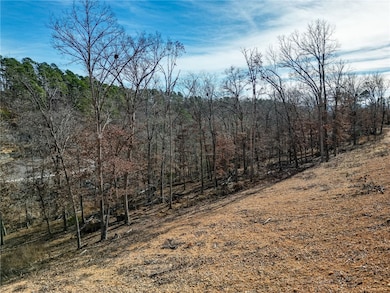 Lot 3 Winterberry Ln, Rogers, AR 72756 - photo 6