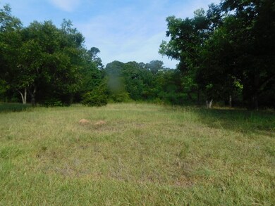 1822 Washington Hwy, Lincolnton, GA 30817 - photo 4