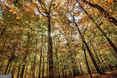 0 Morgan Mill Rd unit 25520027, Senoia, GA 30276 - photo 2