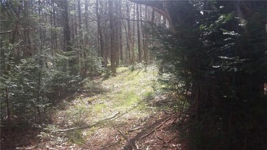 006 016-B- Huey Rd, Bristol, ME 04539 - photo 3