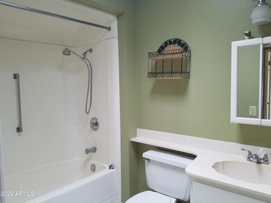 Tumblewood Bathroom 1