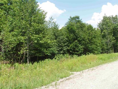 0 Moose Hollow Rd unit 40, Winhall, VT 05340 - photo 2