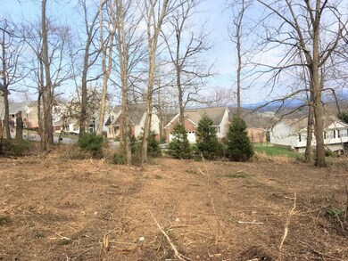 151 E Highland Rd, Johnson City, TN 37601 - photo 4