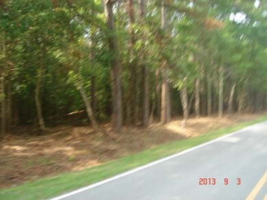 Road Frontage View