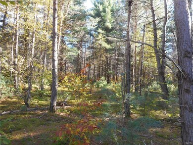 Lot / Land