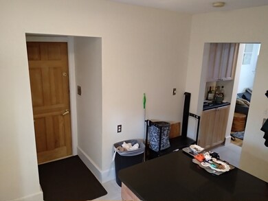 17 Bay St unit 1L, Cambridge, MA 02139 - photo 5