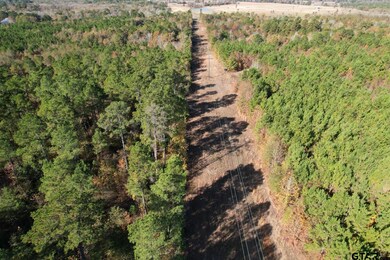 TBD Fm 1650, Gilmer, TX 75645 - photo 6