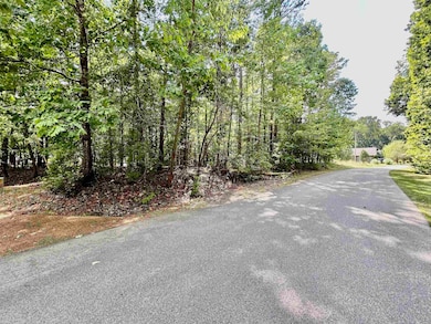 38 Cr 329 Rd, Counce, TN 38326 - photo 2